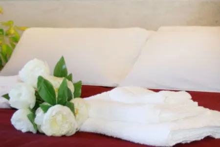 アフィッタカメレ ジョス