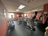 Holiday Inn Express 福賽斯 - 健身房