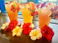 Ma-Blue Garden House - bar