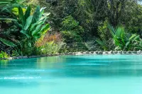 Ngare Sero Mountain Lodge - Pool