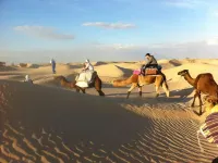 Accommodation near Desert a Douz - que admiten mascotas