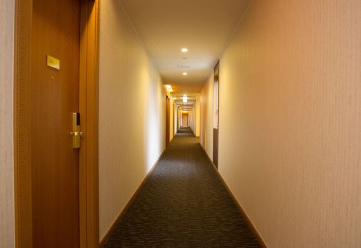 더 그랜 리조트 프린세스 후지카와구치코 온천