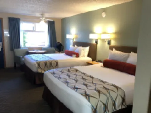 Super 8 by Wyndham Florence or Hotels in Lane County