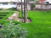 BM Residence Hotel Hotels in Palopo