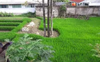BM Residence Hotel Hotel dekat UD CAKALANG PITU