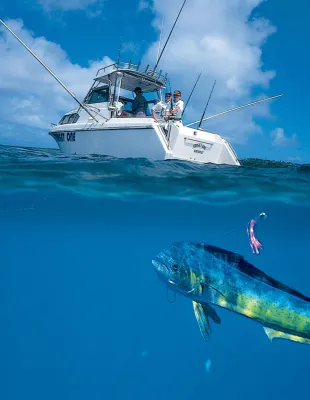 同安海灘度假村 酒店