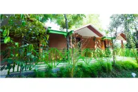 Holiday Courtyard