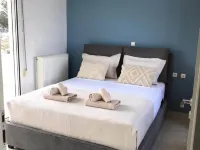 靠近哈尼亞海岸線的花園別墅