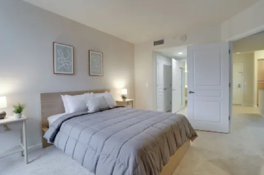 Beautiful 2Br Condo at Pentagon City Hotels in 