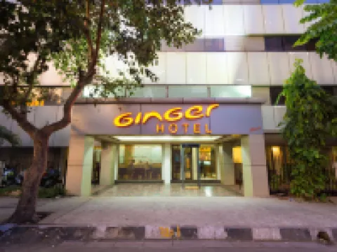ジンジャー ホテル - ターネ テインのホテル