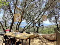Résidence Licciola Hotels in Serra-di-Ferro
