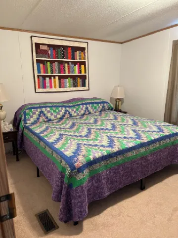 MILLION DOLLAR VIEW !  - 8 Person Mountain Home in Fancy Gap, Virginia