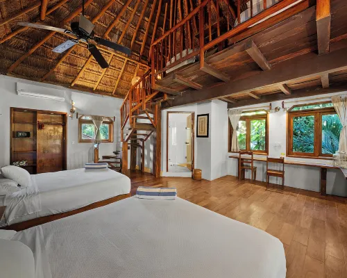 Playa Canek Beachfront Eco Hotel Hotel in zona Ziggy's