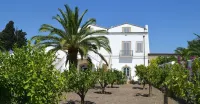 Masseria Celentano Relais & Agriturismo Hotels near Monte Saraceno mt.1145