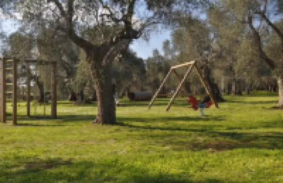 Bio Agriturismo Corte Degli Ulivi