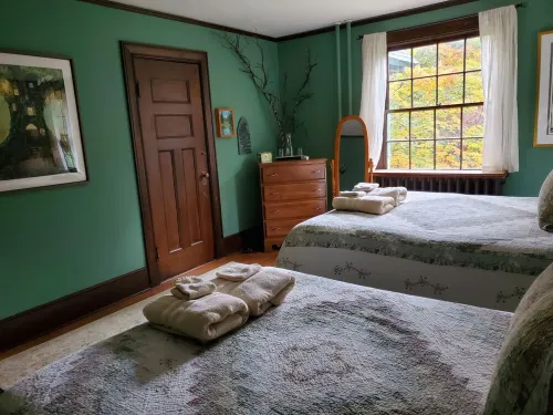 Adirondack Artist Retreat -spacious 5 bedroom w/ 9 person hot tub and more!