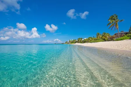 7 Mile Luxury Beach Club. Ocean views from Roof Terrace and Pool Pavilion.