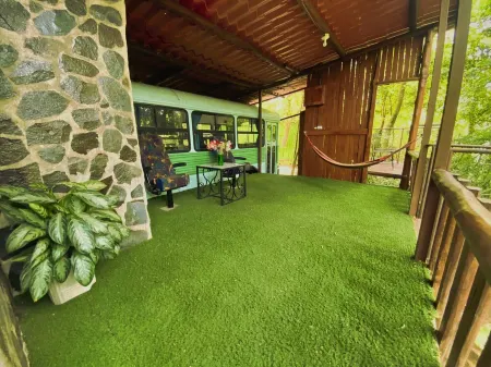 Ficus Wonders Bus. A Journey Through Nature