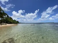 El Yunque House with Private Pool & Amazing Views Hotels in Mameyes II
