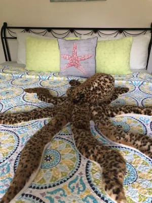 Orchid at Casa Tre Fiori - Peaceful Paradise!