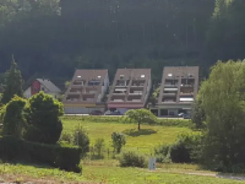 Holiday Waldblick Schwanheim with large terrace and stunning views