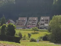 Holiday Waldblick Schwanheim with large terrace and stunning views