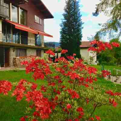 New apartment, superb lake and mountain views. Hotel Exterior