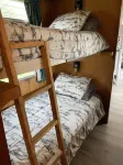 Cozy cabin on shores of Rainy Lake - fantastic fishing!