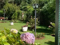 Peace and quiet in the mountains of campos de jordao