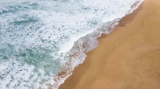 Blue Nest at the Beach
