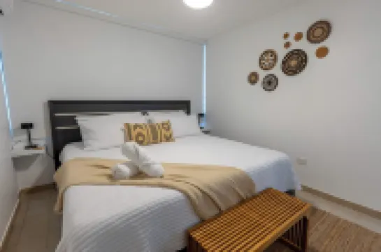 Pineapple Beach Villa-Apartment in fabulous Rio Grande with WiFi, AC サルサルのホテル