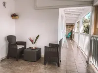 The tropical garden
