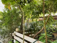 Relaxing Loft Studio Cabin - 5 min from the beach! Hotels near Vader Piet Entrance to Arikok National Park