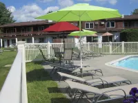 The Olympia Lodge - piscina
