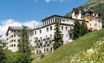 Hotel Albris