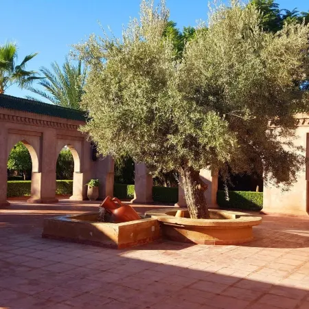 La Maison des Oliviers