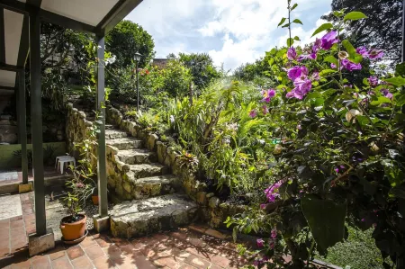 Posada Las Bromelias Отели рядом с достопримечательностью «MONTAÑA ESCONDIDA GLAMPING»