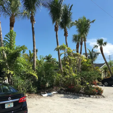 An Island Getaway at Palm Tree Villas