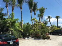 An Island Getaway at Palm Tree Villas - parking
