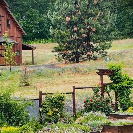 Country Willows Inn and Estate