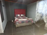 Freedom Media Guest House