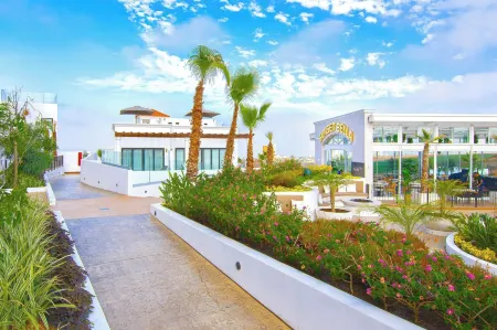 Bellafer Collection Hotel & Resort Отели рядом с достопримечательностью «Baja Gallery»