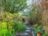 Dolwar Cottage