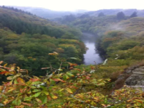 Holiday Home in la Roche with Sauna & Nature Hoteles en La Roche-en-Ardenne
