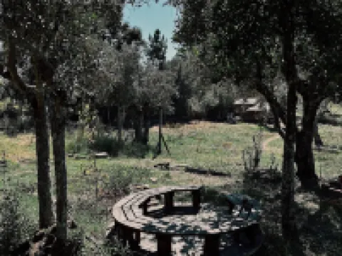 breakfastunderatree Tomar otelleri