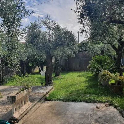 THE HOUSE OF THE OLIVE GARDEN - QUERCETA - FORTE DEI MARMI