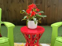 The Boutique Guest House Hotels in Golden Glades