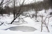 Charming 2-bedroom house  with WiFi outside Fleischmanns, NY Hotels in Halcott