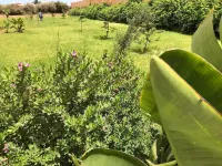 Eden Appartement avec Piscine et Salle de Sport à 7 min de Sidi Bouzid