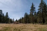 Walk to Lake Tahoe - Pet Friendly - 10Min to Skiing